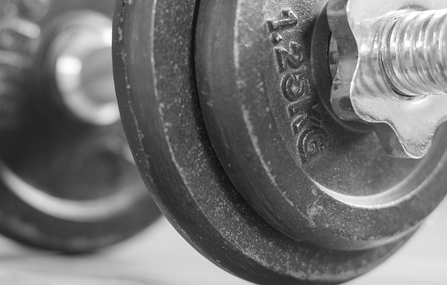 bodybuilding