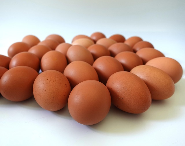 protein