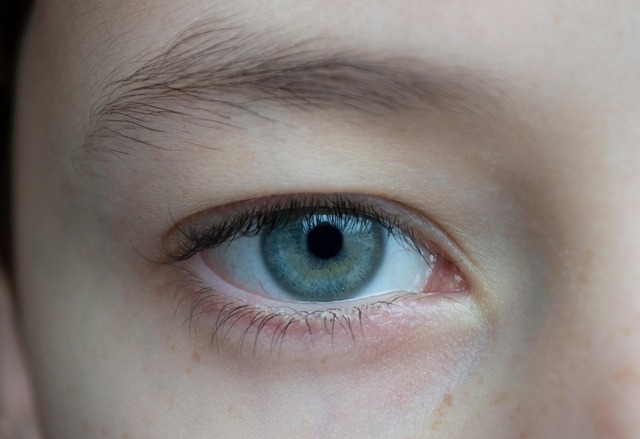 eye