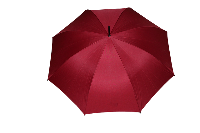 umbrella