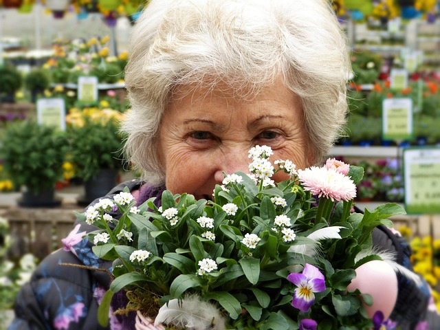 elderly care