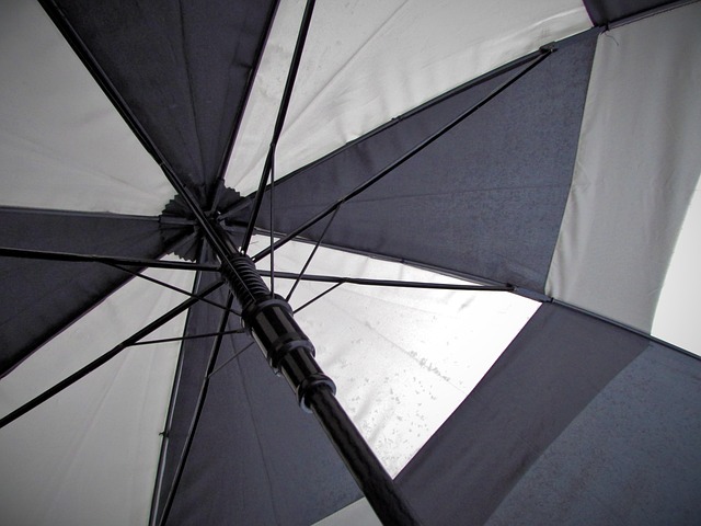 umbrella