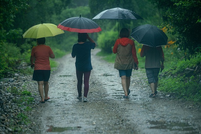 umbrella