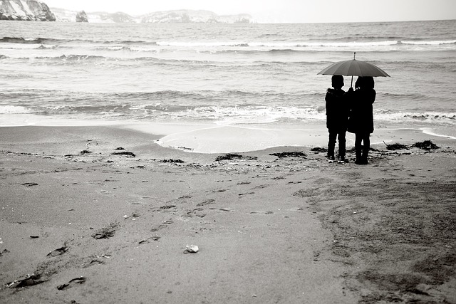 umbrella