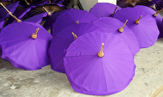 umbrella